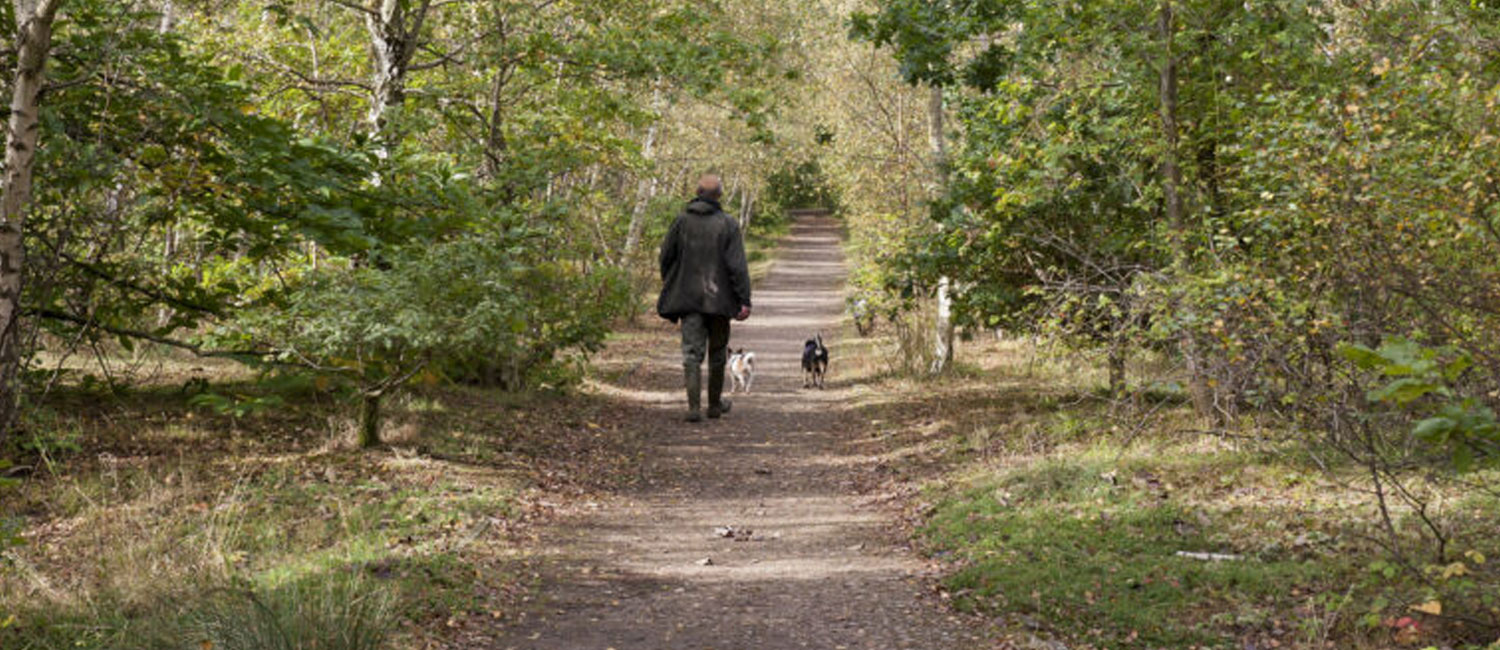 Houses for Sale in Well Hill, Kent